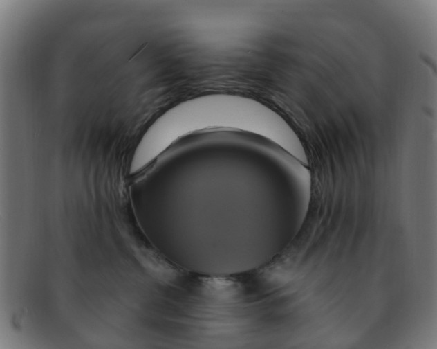 X0000091500380200709131855