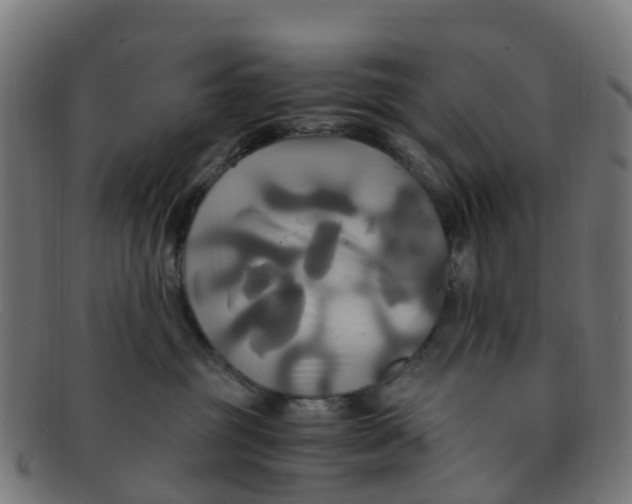 X0000091500381200709131855