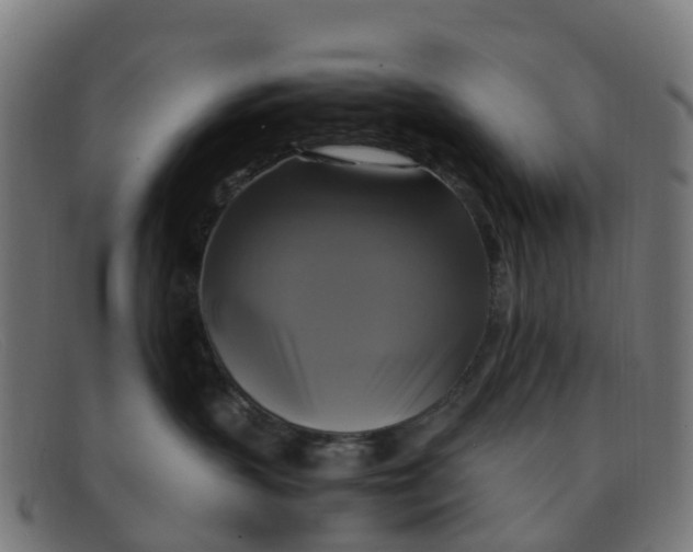 X0000091500383200709131855