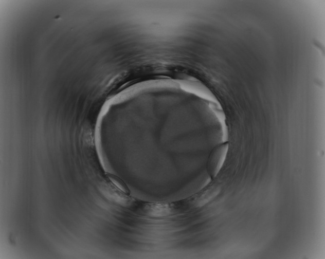 X0000091500384200709131855