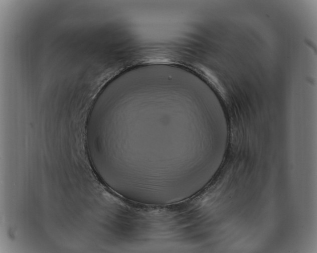 X0000091500385200709131854