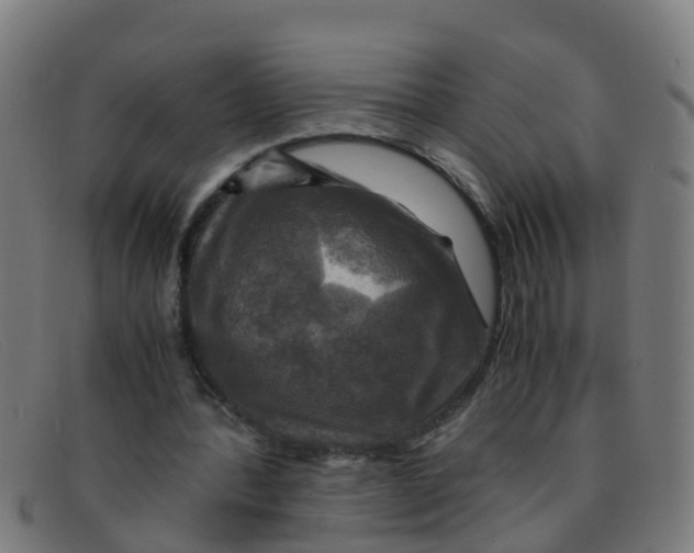 X0000091500388200709131854