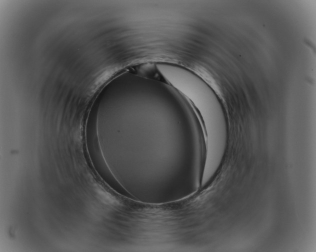 X0000091500389200709131854