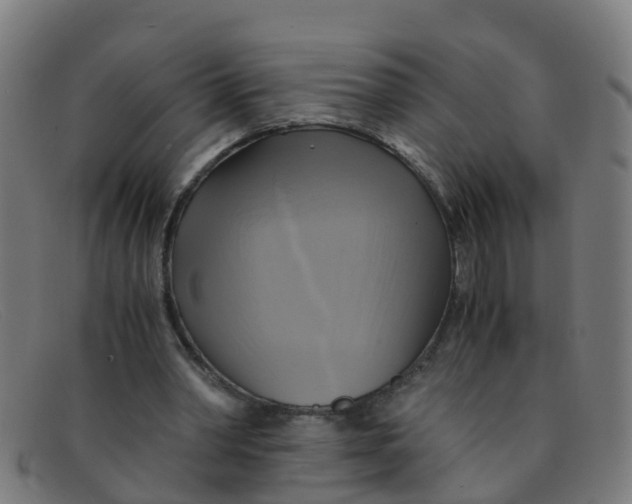 X0000091500390200709131854