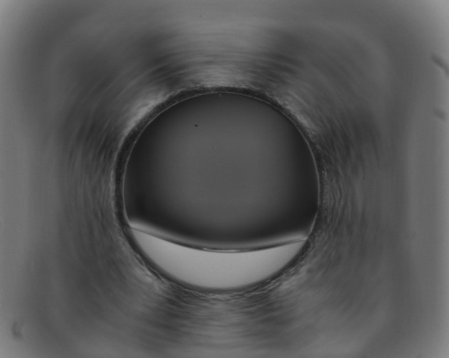 X0000091500391200709131854