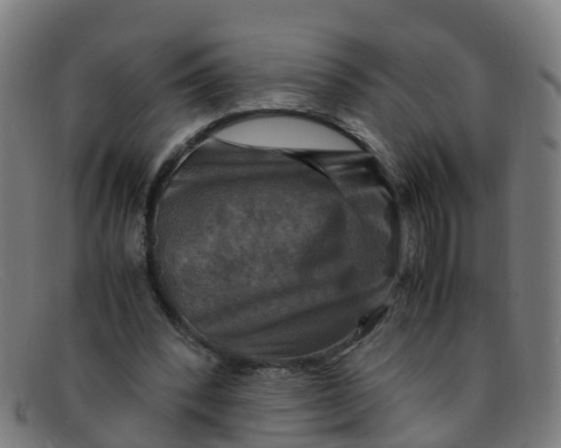 X0000091500392200709131854