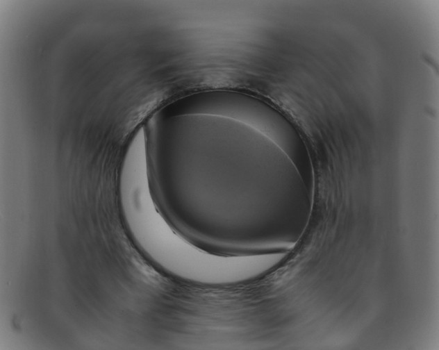 X0000091500393200709131854