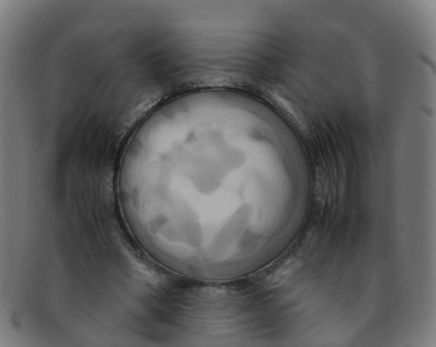 X0000091500394200709131854