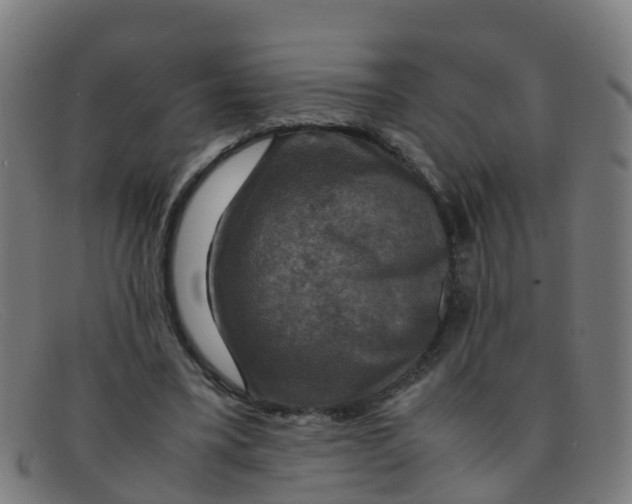 X0000091500395200709131854