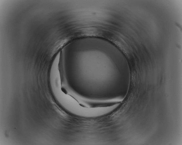 X0000091500397200709131854