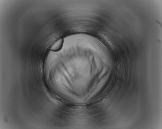 X0000091500398200709131854