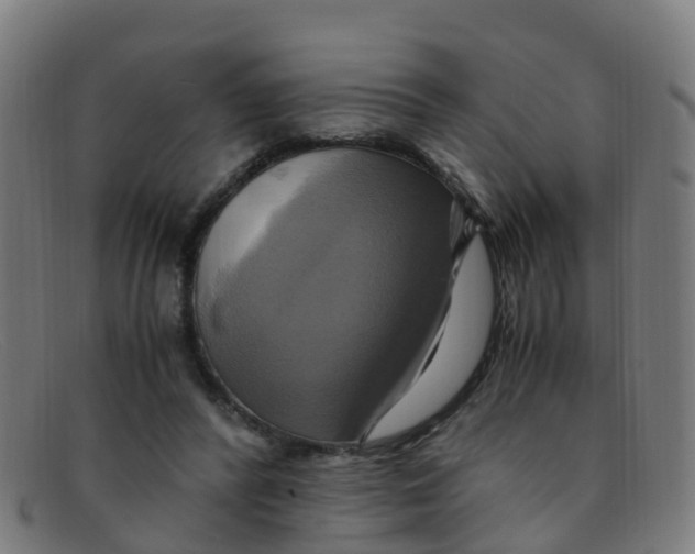 X0000091500400200709131854