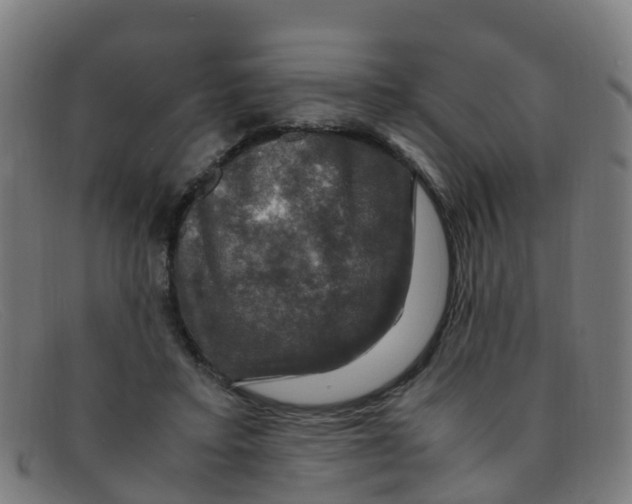 X0000091500403200709131854