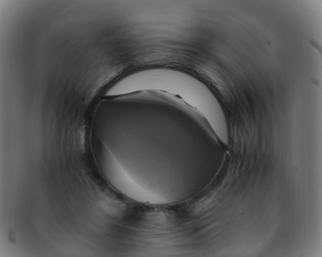 X0000091500404200709131854