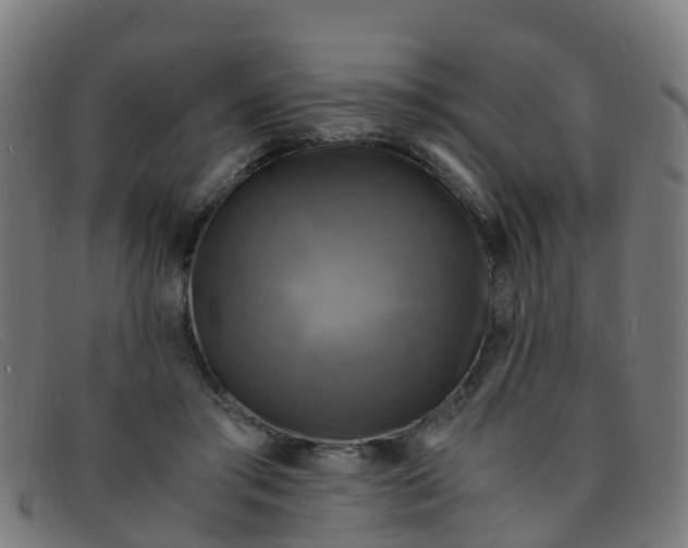 X0000091500405200709131854