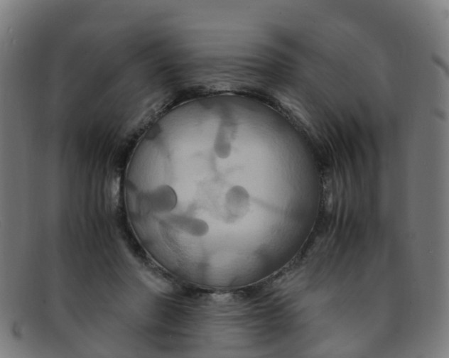 X0000091500406200709131854