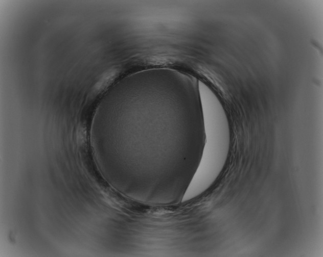 X0000091500407200709131854