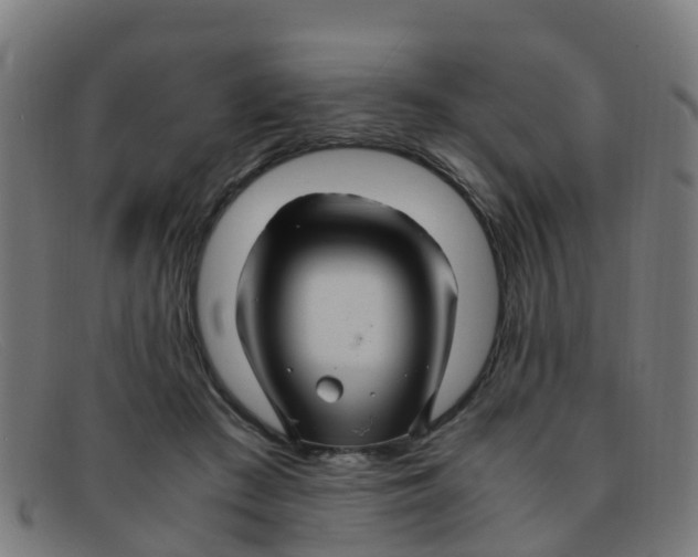 X0000091500409200709131854