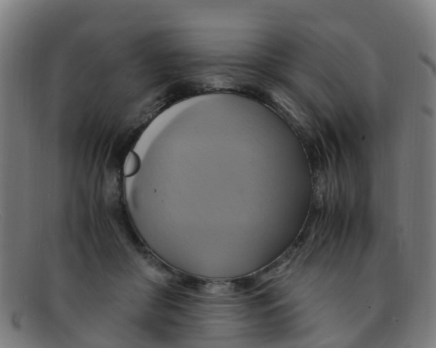 X0000091500410200709131854