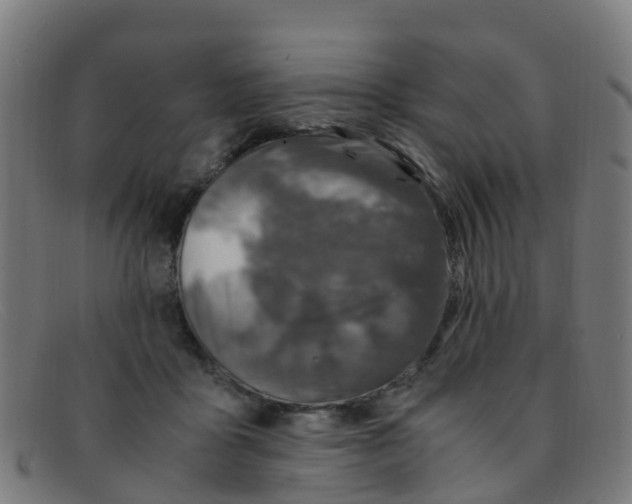 X0000091500411200709131854