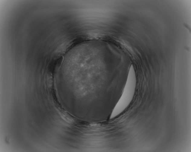 X0000091500413200709131854