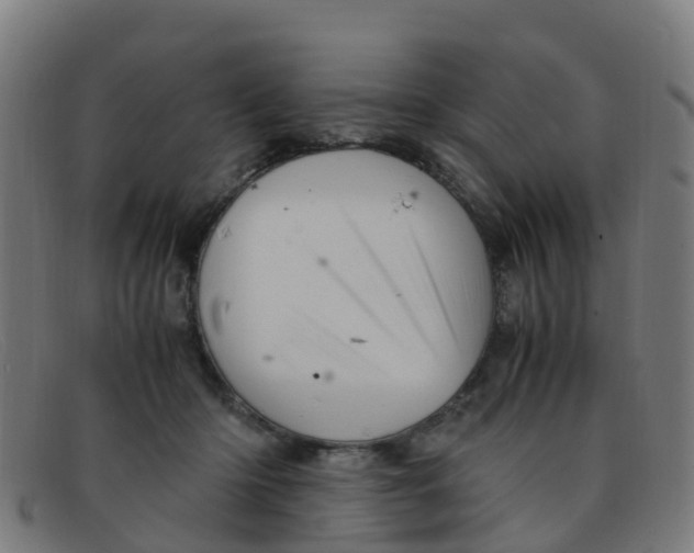 X0000091500414200709131854