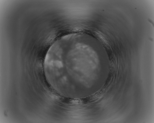 X0000091500415200709131854