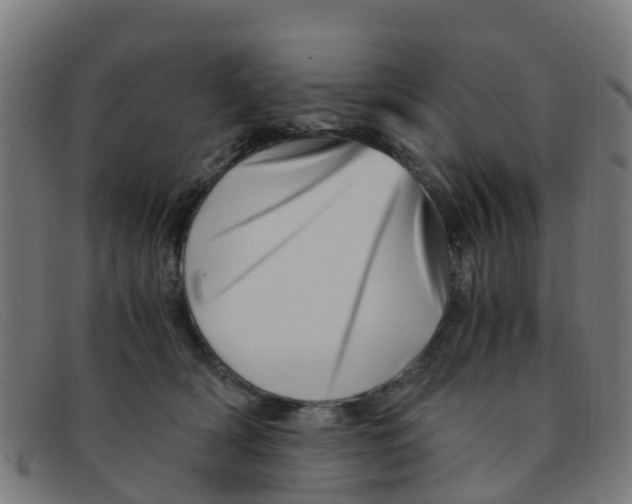 X0000091500418200709131854