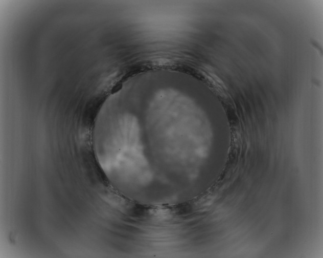 X0000091500419200709131854