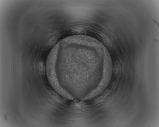 X0000091500420200709131854