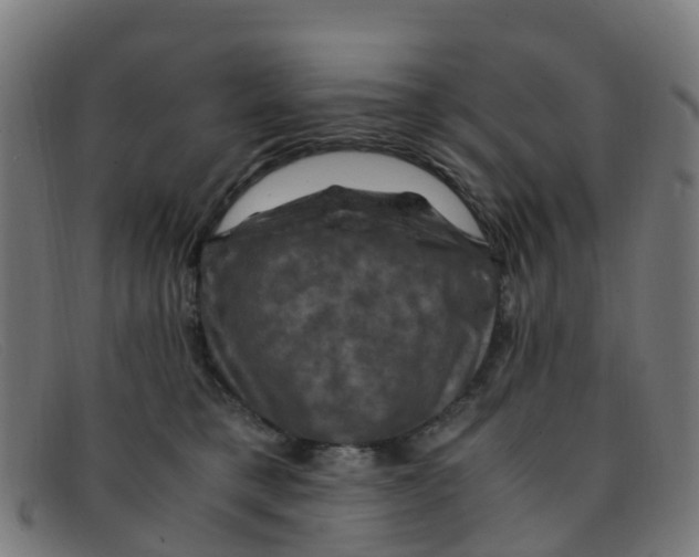 X0000091500421200709131854