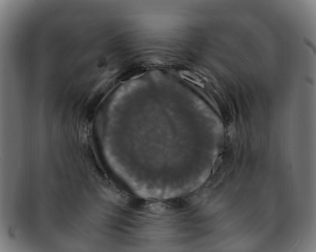 X0000091500423200709131854