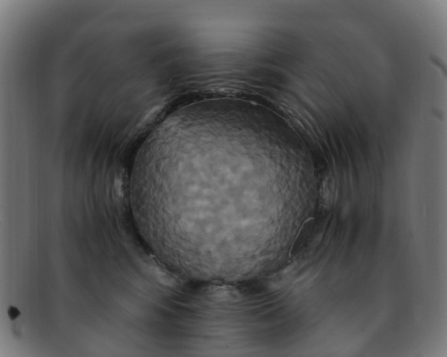 X0000091500424200709131854