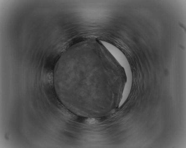 X0000091500425200709131854