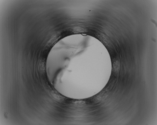 X0000091500426200709131854