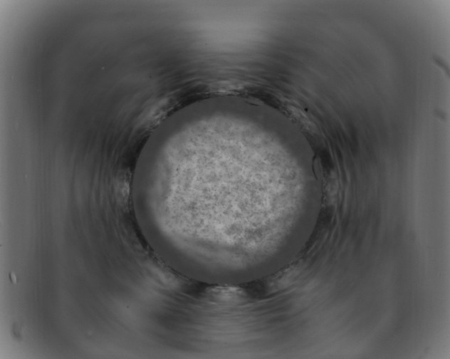 X0000091500427200709131854