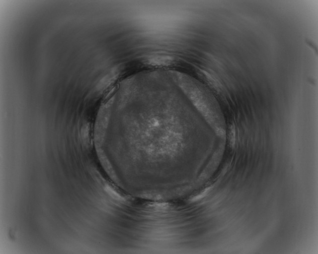 X0000091500428200709131854