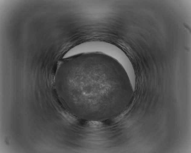 X0000091500429200709131854