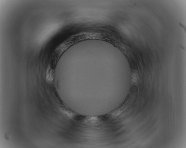 X0000091500431200709131854