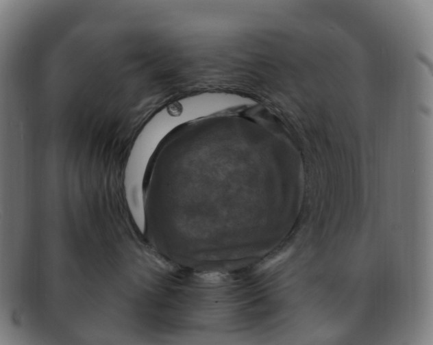 X0000091500432200709131854