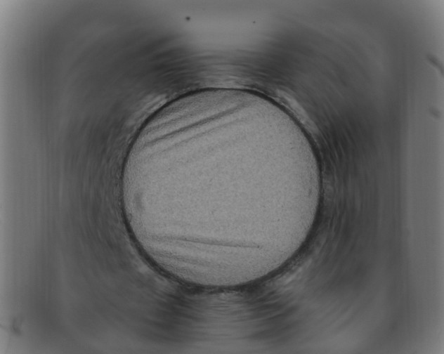 X0000091500433200709131853