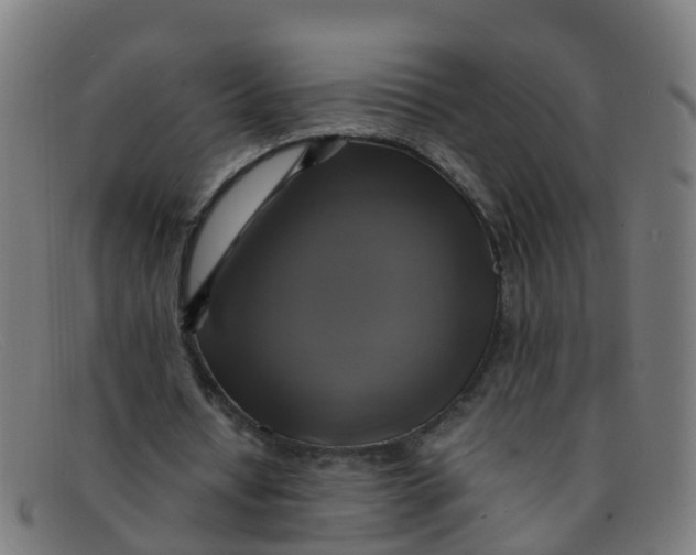 X0000091500434200709131853