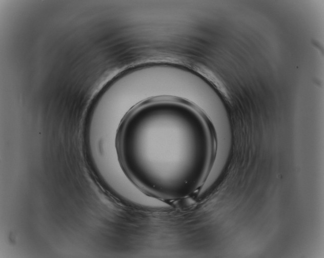 X0000091500436200709131853