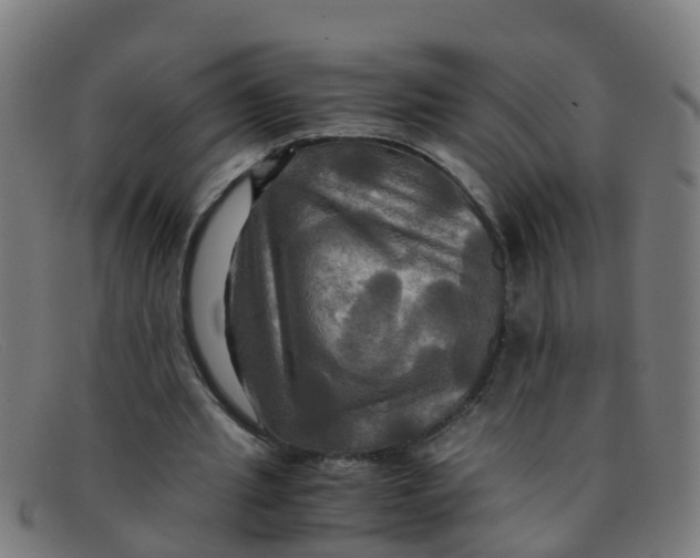 X0000091500437200709131853