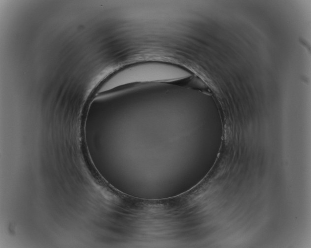 X0000091500438200709131853