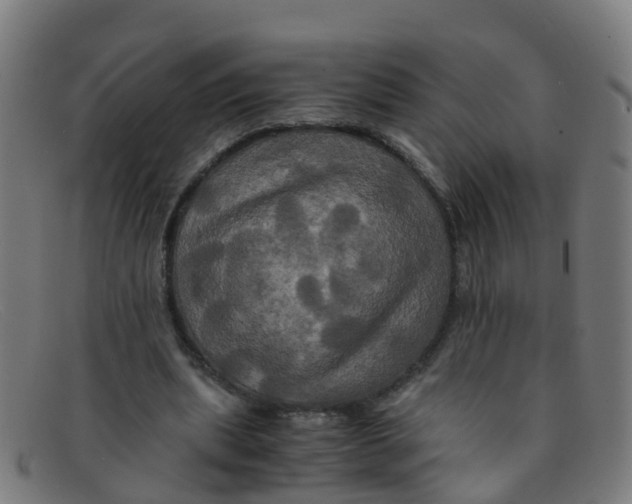 X0000091500439200709131853