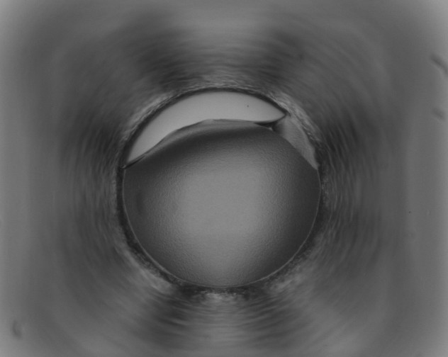 X0000091500442200709131853