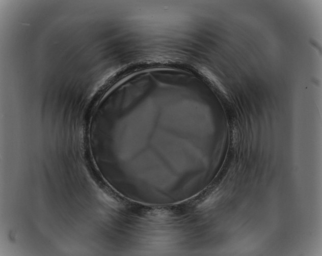 X0000091500444200709131853