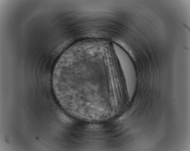 X0000091500445200709131853