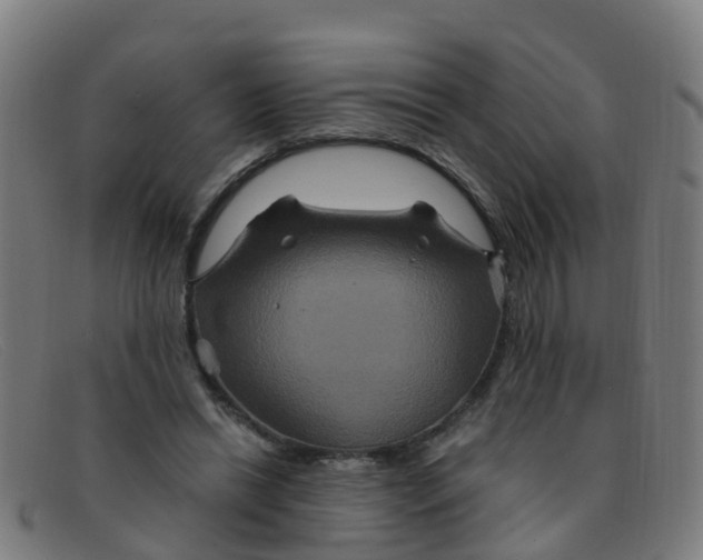 X0000091500446200709131853